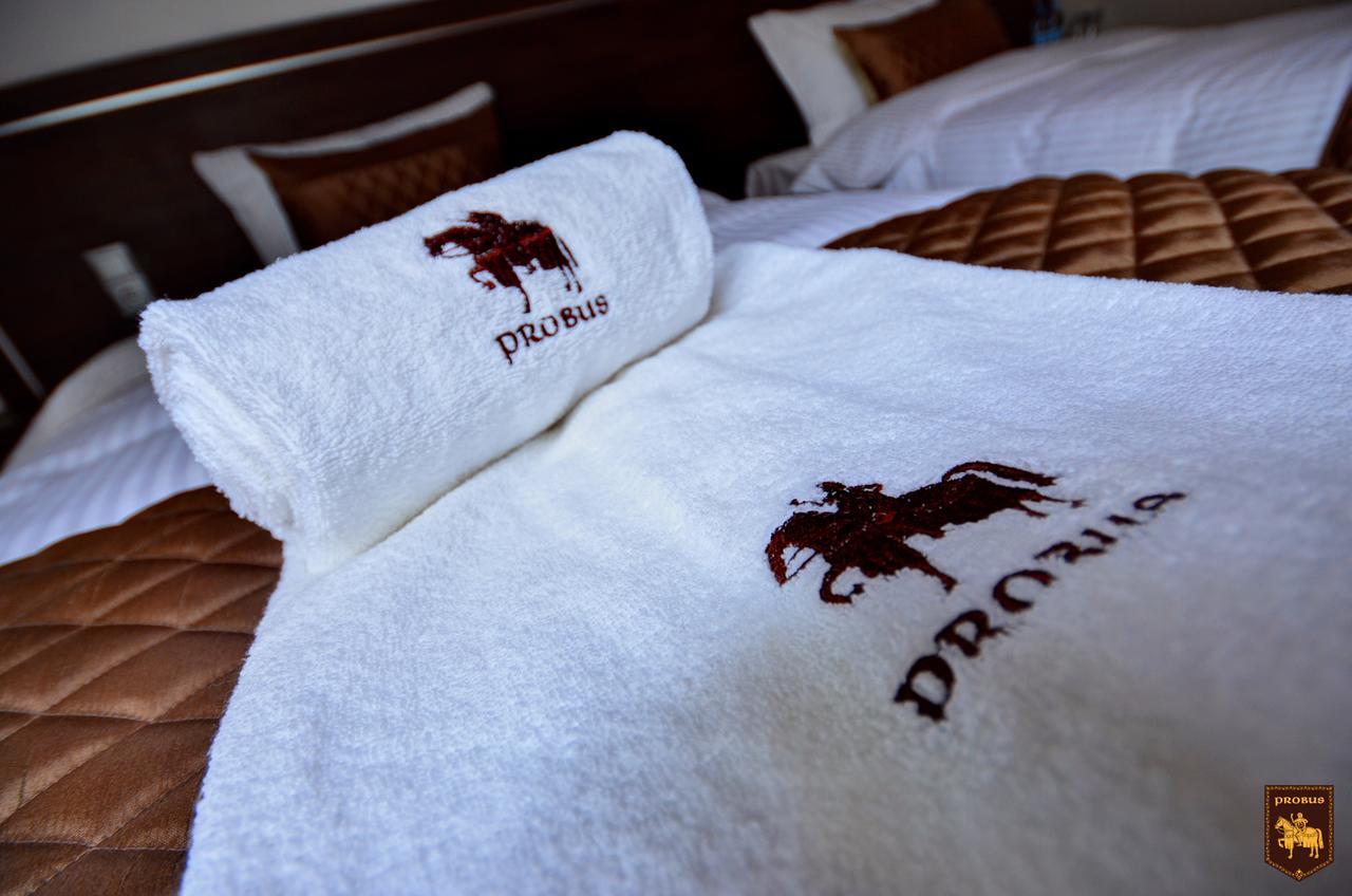 Ctkir Browar Probus Aparthotel Olawa Ngoại thất bức ảnh